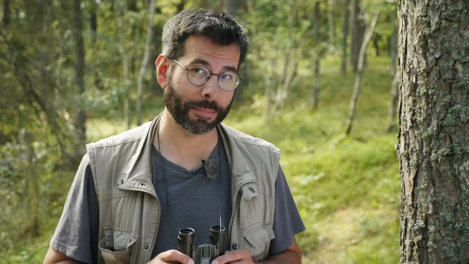 The Lives of Birds in the Digital Realm